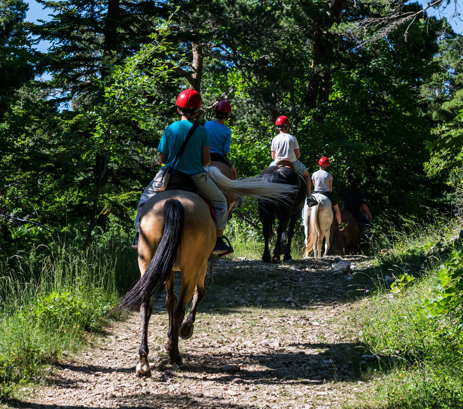 balade a cheval veynes hautes alpes