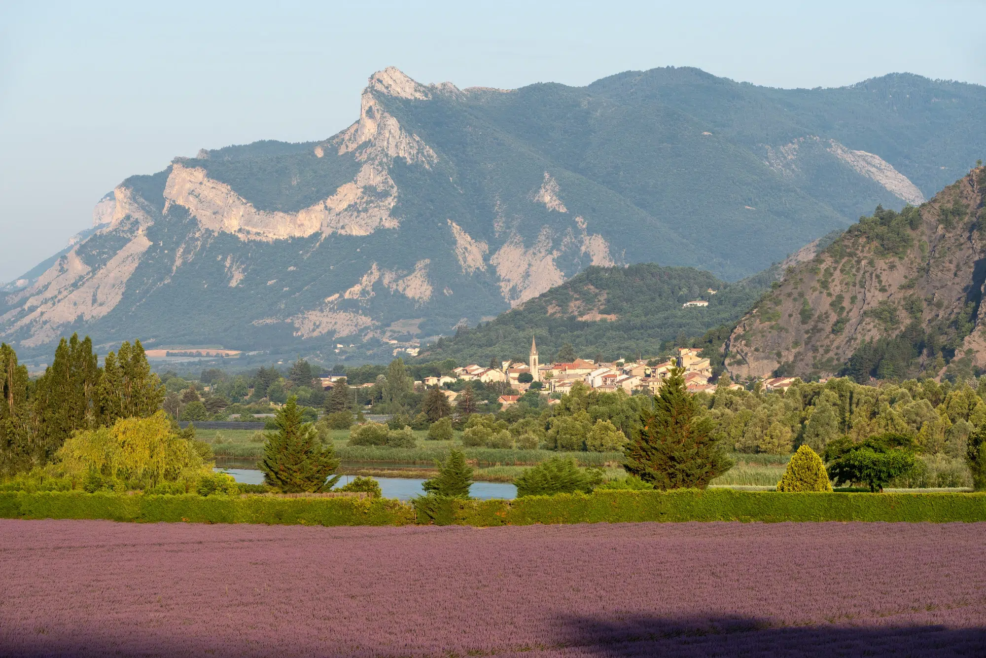 lavande montagne_result