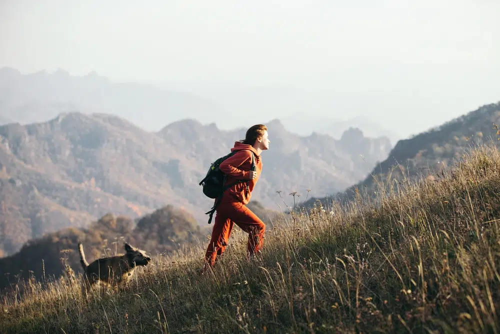 rando chien hautes alpes
